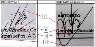 firma-falsa.jpg